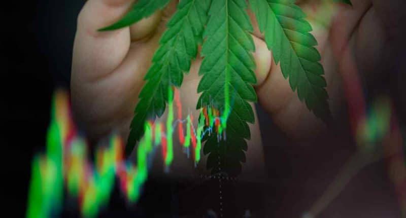 Cannabis Stocks For Uptrend In March