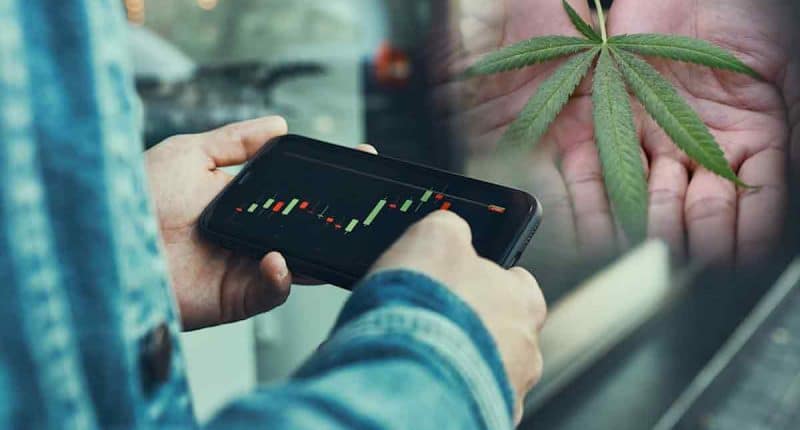 Cannabis Stocks For Watchlist 2nd Week Of January
