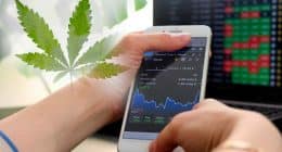 Cannabis Stocks October Gains