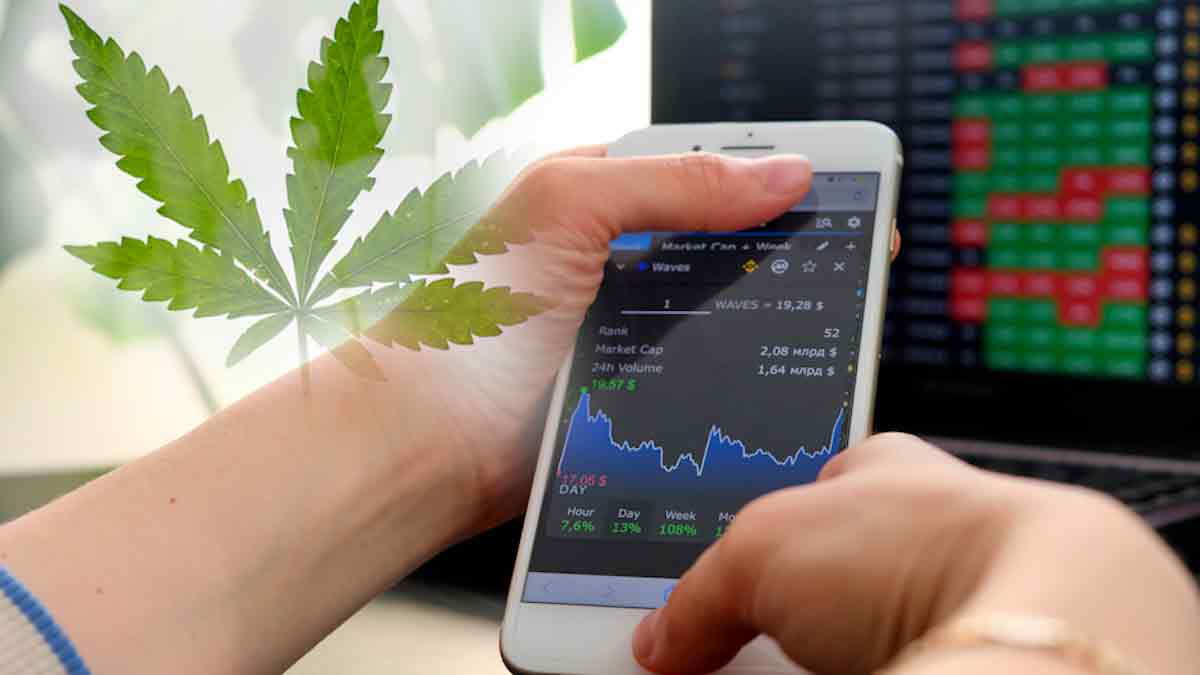 Cannabis Stocks October Gains