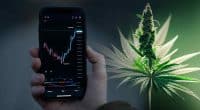 Cannabis Stocks To Watch Right Now In October 2024