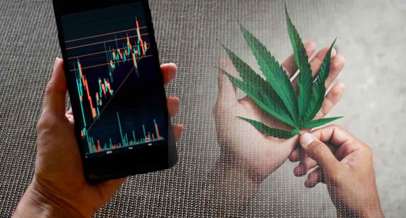Pot Stocks For Watchlist For May 2024