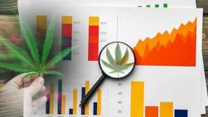 Top Ancillary Cannabis Stocks to Keep on Your Radar in September