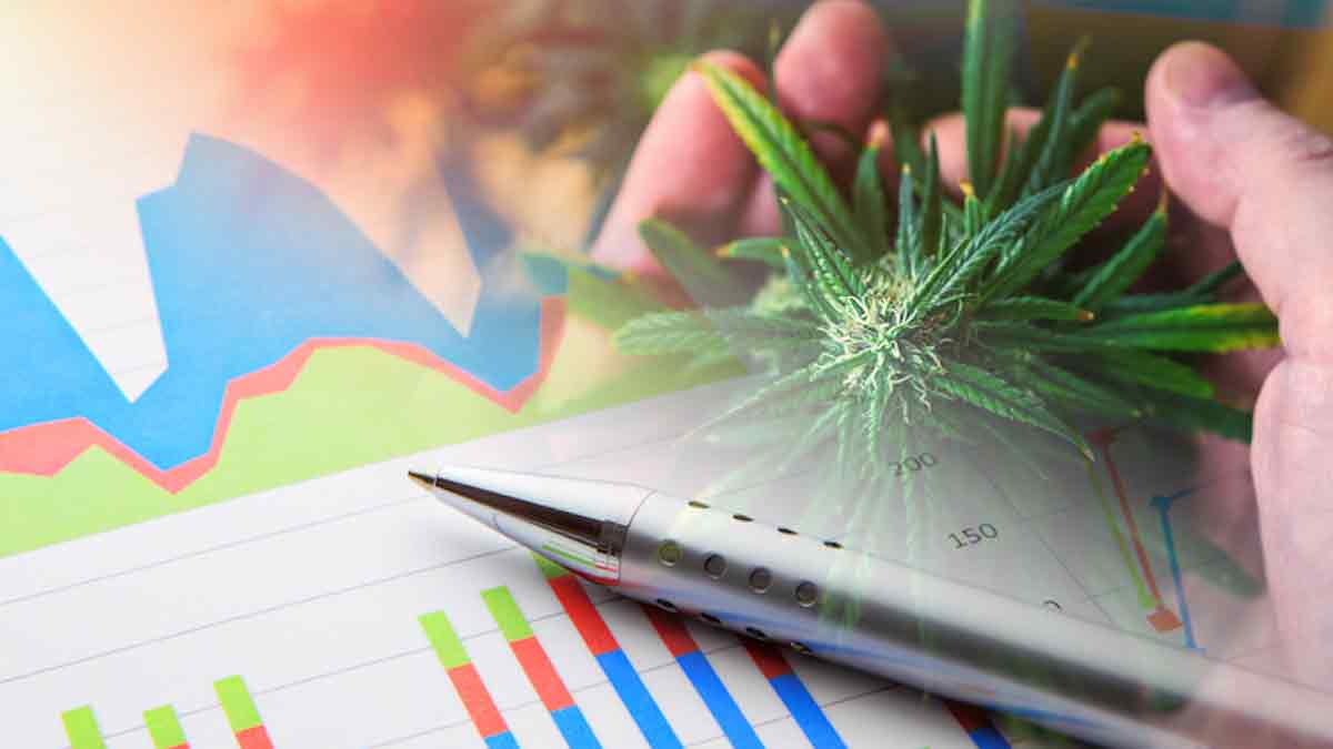 Top Cannabis Stocks To Watch In November 2022