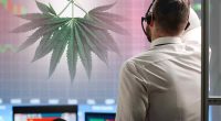 Top Marijuana Stocks In Q4 2022 To Watch