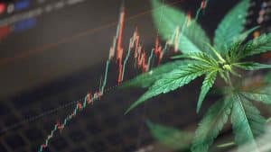 Best Marijuana Stocks To Buy Now? 3 US Pot Stocks Gaining In October