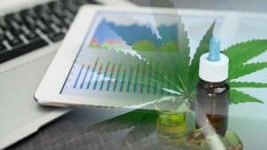 Top Marijuana Penny Stocks For November? 3 To Watch Right Now