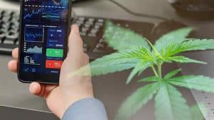 Best Cannabis Stocks To Watch In November Volatility