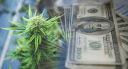 Top US Cannabis Stocks to Monitor in the Fourth Quarter of 2023