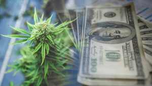 Top US Cannabis Stocks to Monitor in the Fourth Quarter of 2023