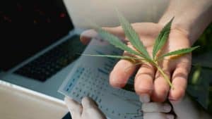 This Week’s Top Ancillary Cannabis Stocks: Balancing Opportunity with Risk