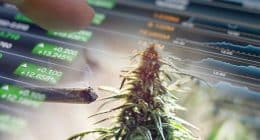 High-Potential Marijuana Stocks: Top Picks to Watch Before September 2023