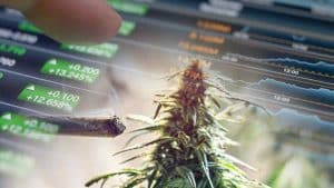 High-Potential Marijuana Stocks: Top Picks to Watch Before September 2023