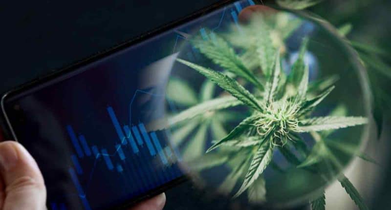 Top Cannabis REITs to Keep on Your Radar Before March 2024