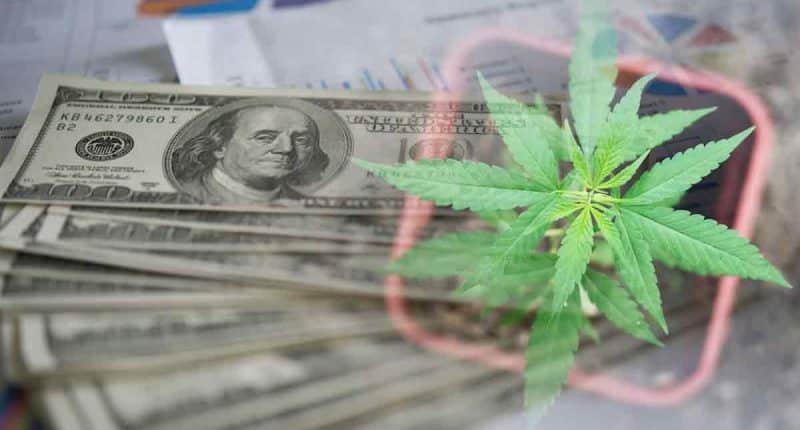Top Cannabis Stocks To Watch Under $2 Now