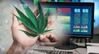 Top-Performing Cannabis Penny Stocks of the Week