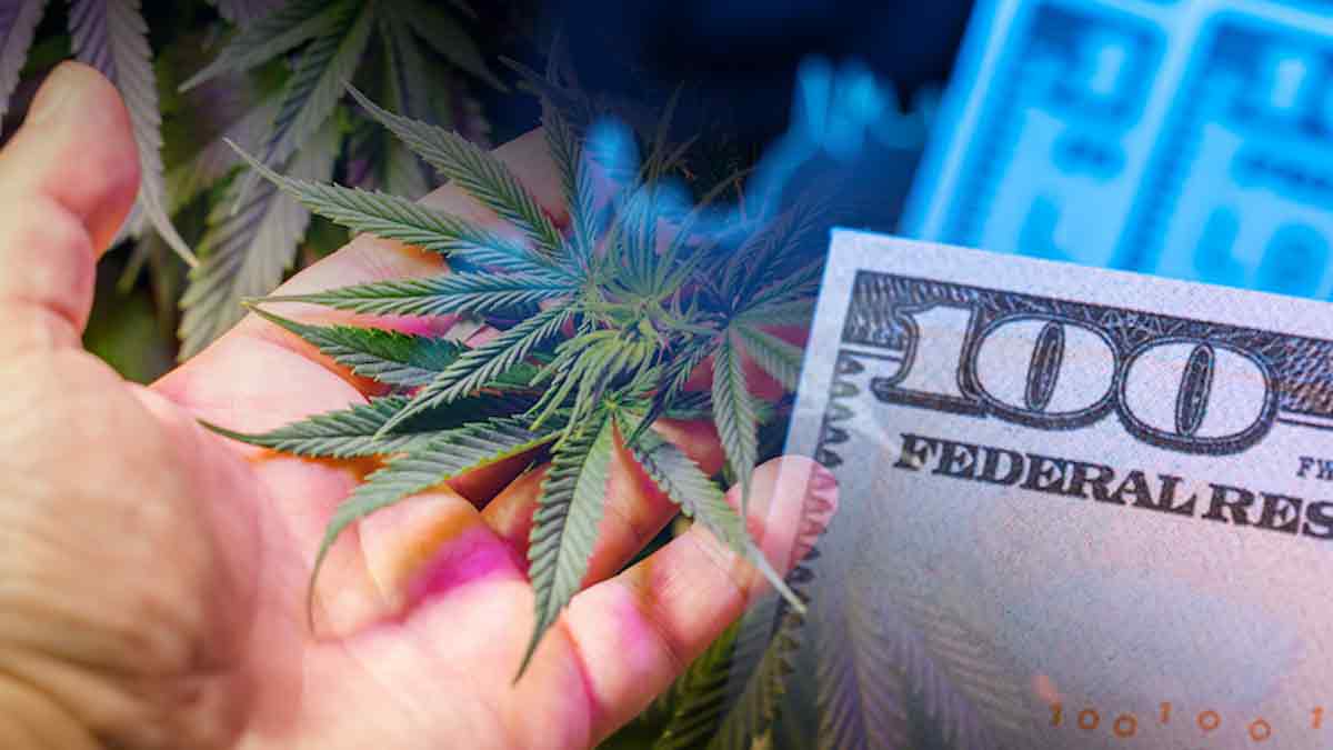 Cultivating Returns: The Best Cannabis REITs of March 2024