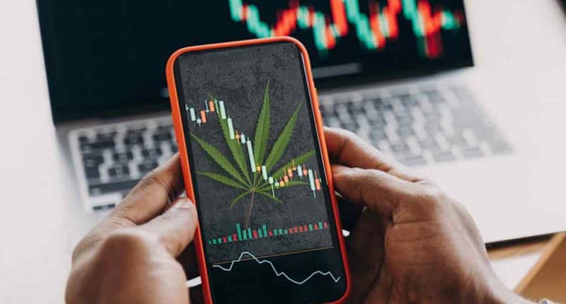 Top Pot Stocks For November 2024