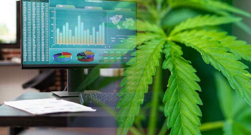 Investing Long Term In Cannabis? 2 To Watch Before 2023