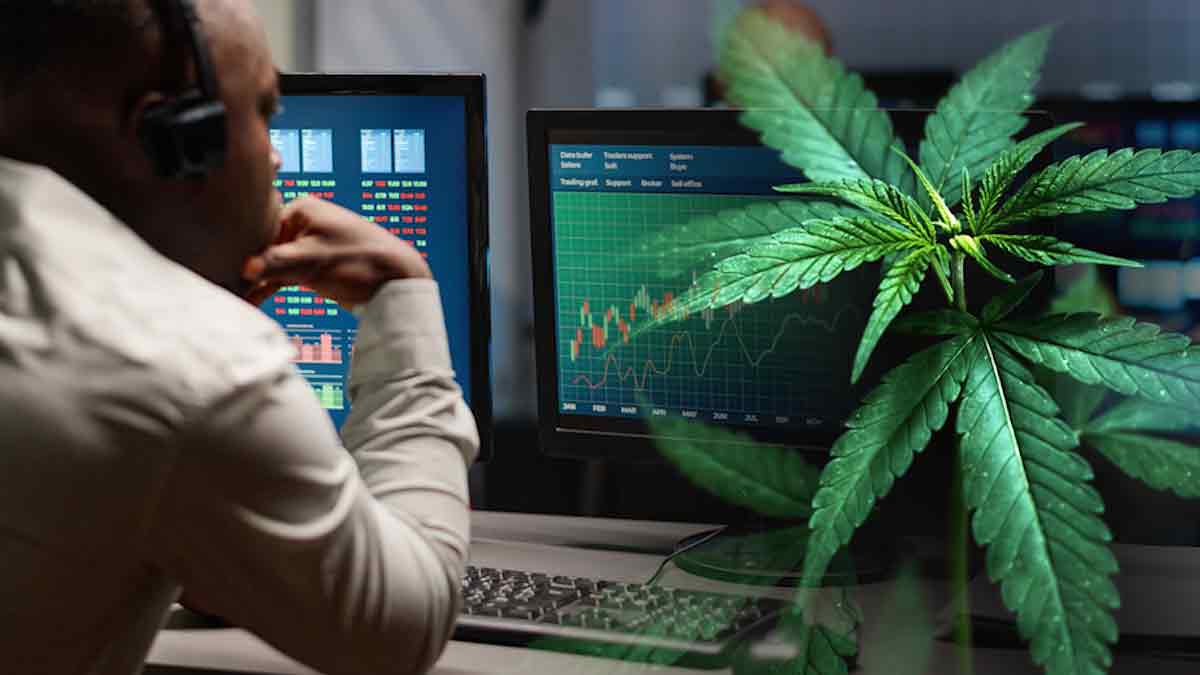 Best Cannabis Stocks To Watch In December 2022 Now