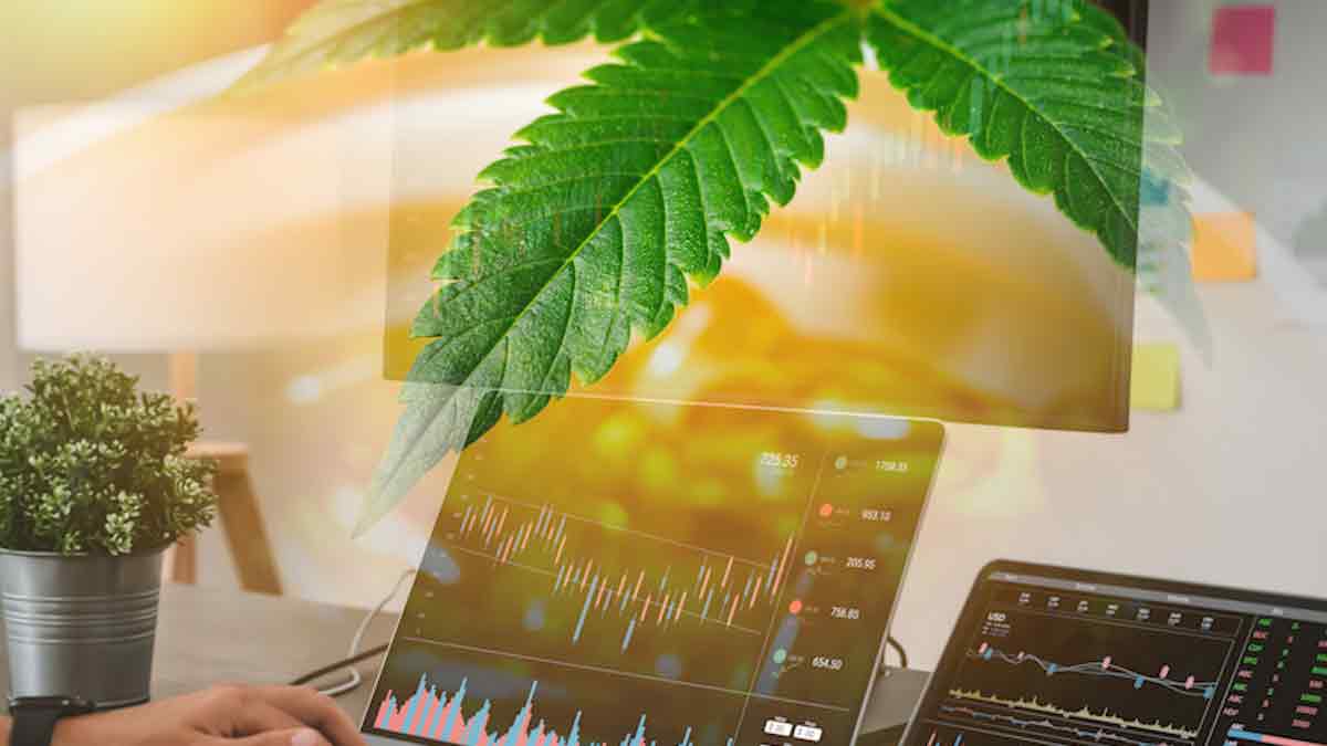 Top Cannabis ETF’s To Buy Now? 4 For Your 2023 Watchlist