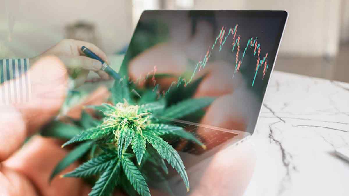 Top Cannabis REITs: September 2023's Standout Performers