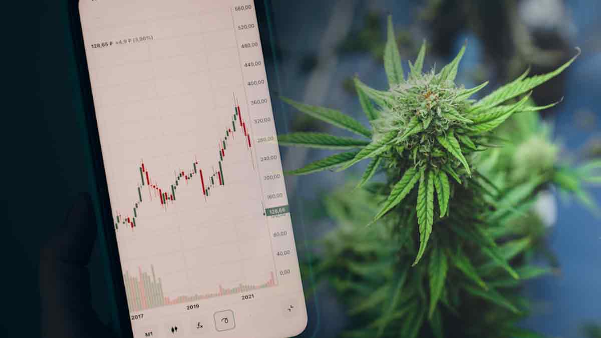Best Canadian Cannabis Stocks To Buy? 3 To Watch Before 2023
