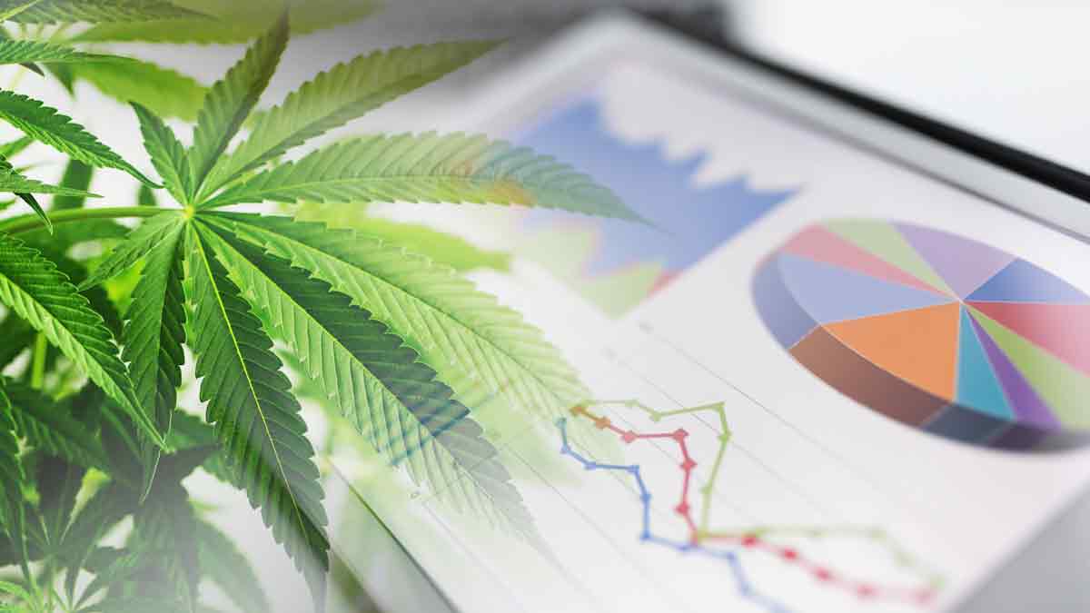 Top Marijuana Penny Stocks To Watch Before 2023