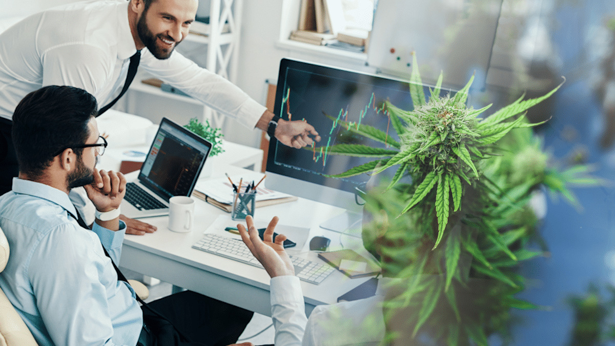 Top US Cannabis Stocks Investors Are Watching Now