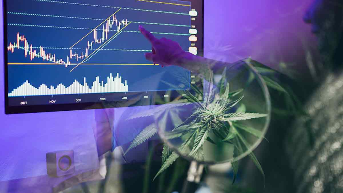 Best Cannabis Stocks For Q1 2023 Upside