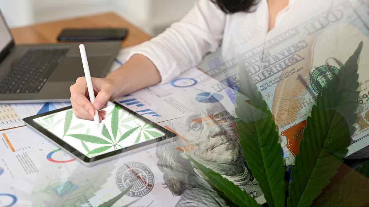 Best Marijuana Stocks Mid January 2023