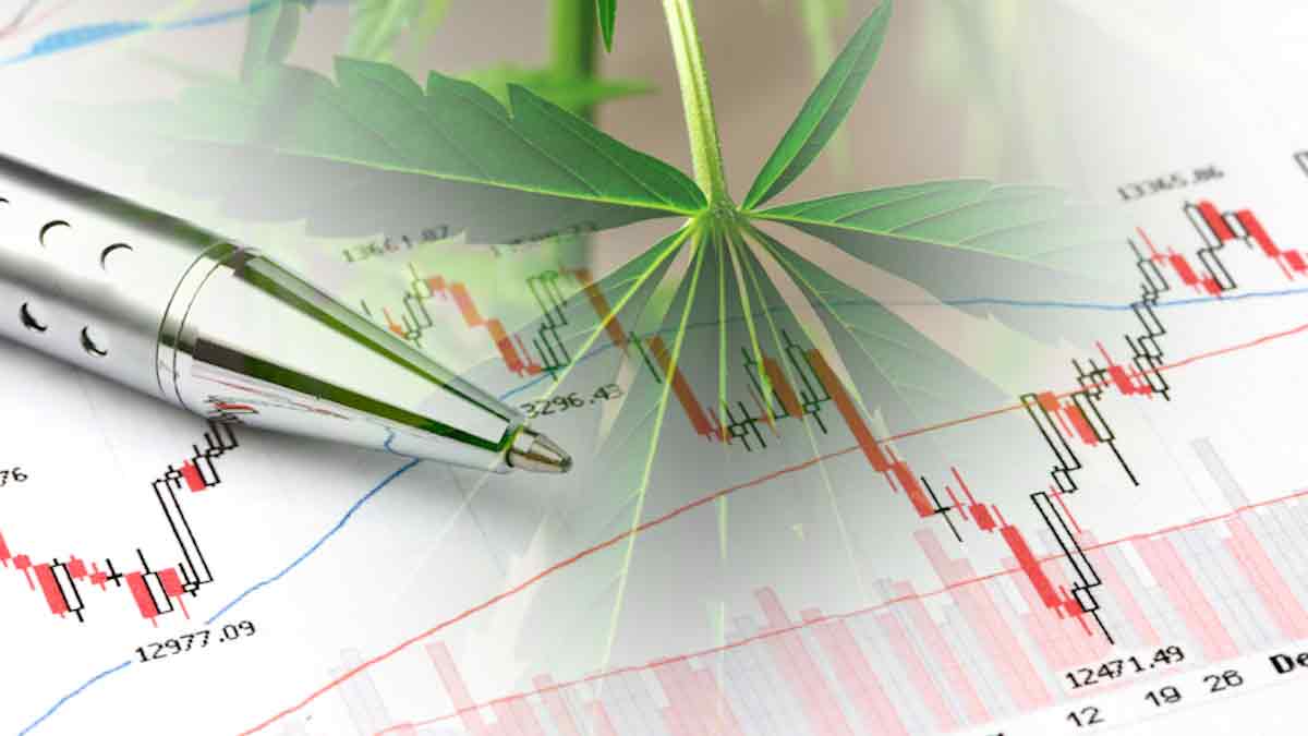 Cannabis Stocks In January 2023