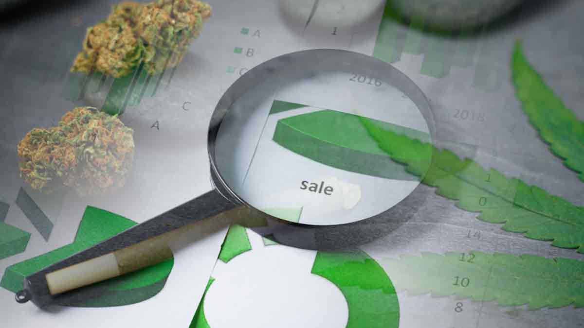Top Marijuana Penny Stocks Under $1? 2 To Watch This Week