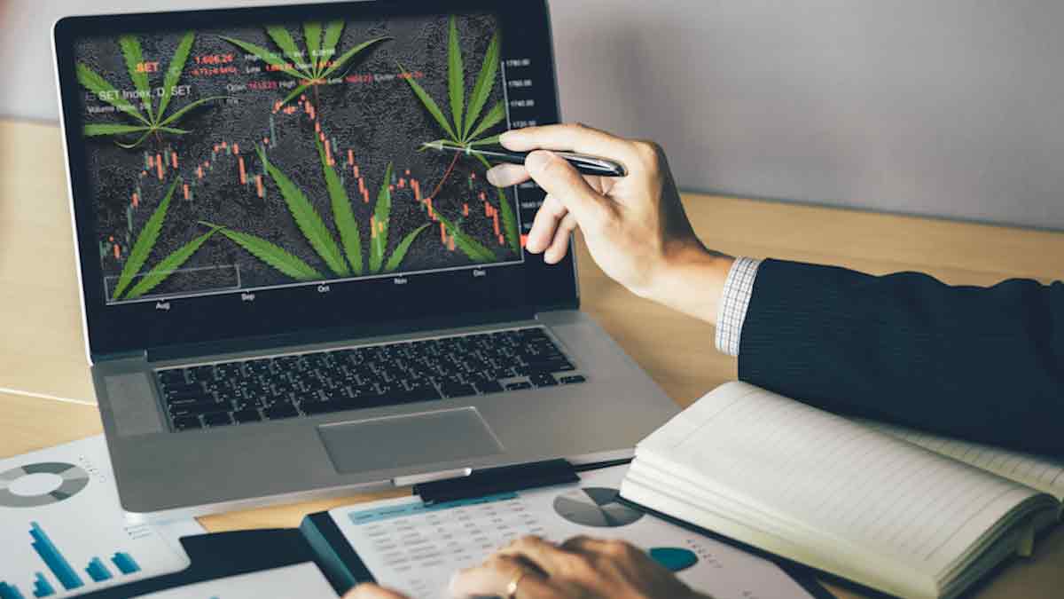 Best Marijuana Stocks For Jan 2023