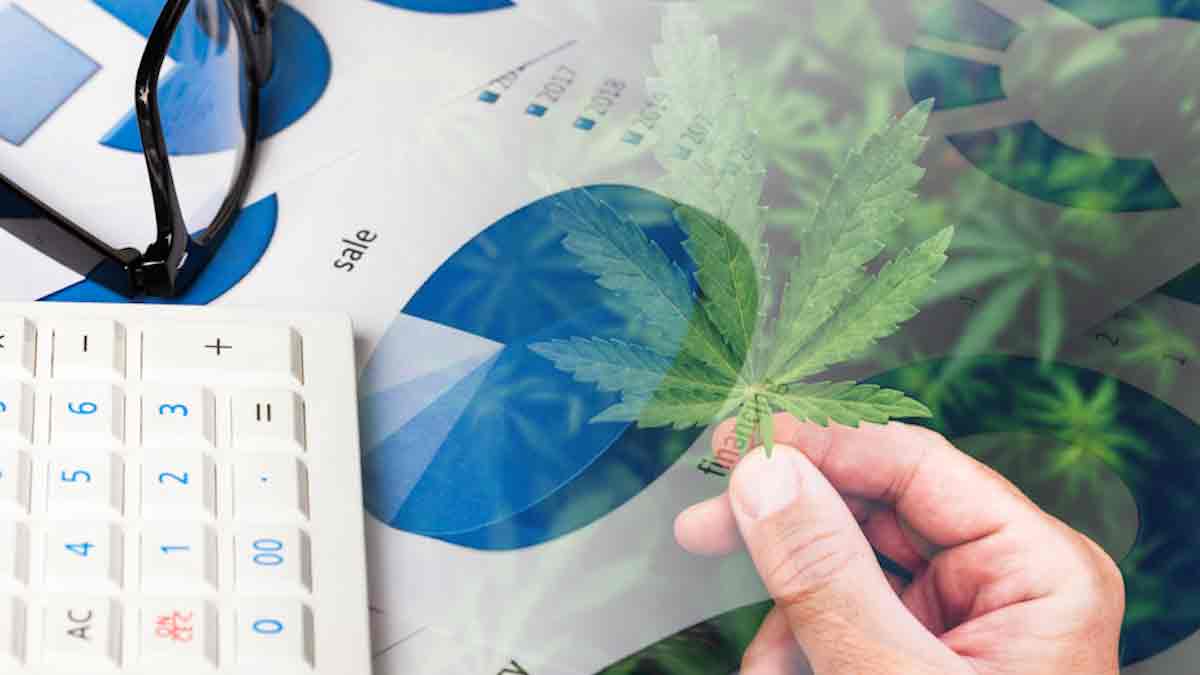 Best Cannabis Stocks To Buy? 3 Penny Stocks With Upside In January