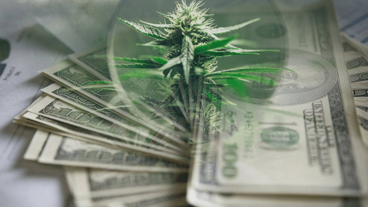 Top Marijuana Penny Stocks To Watch On The Nasdaq