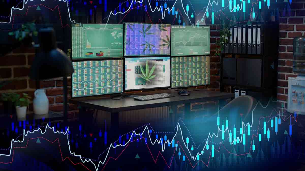 Are US Marijuana Stocks On Watch In February? 2 For Your List Right Now