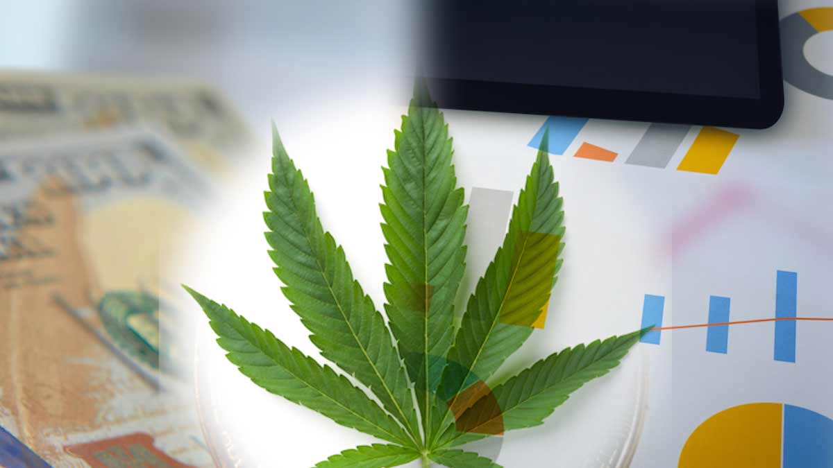Best Ancillary Cannabis Stocks Mid-February? 3 To Watch This Week