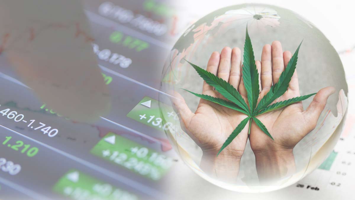 Are US Marijuana Stocks A Buy Before March? 3 For Your List This Week