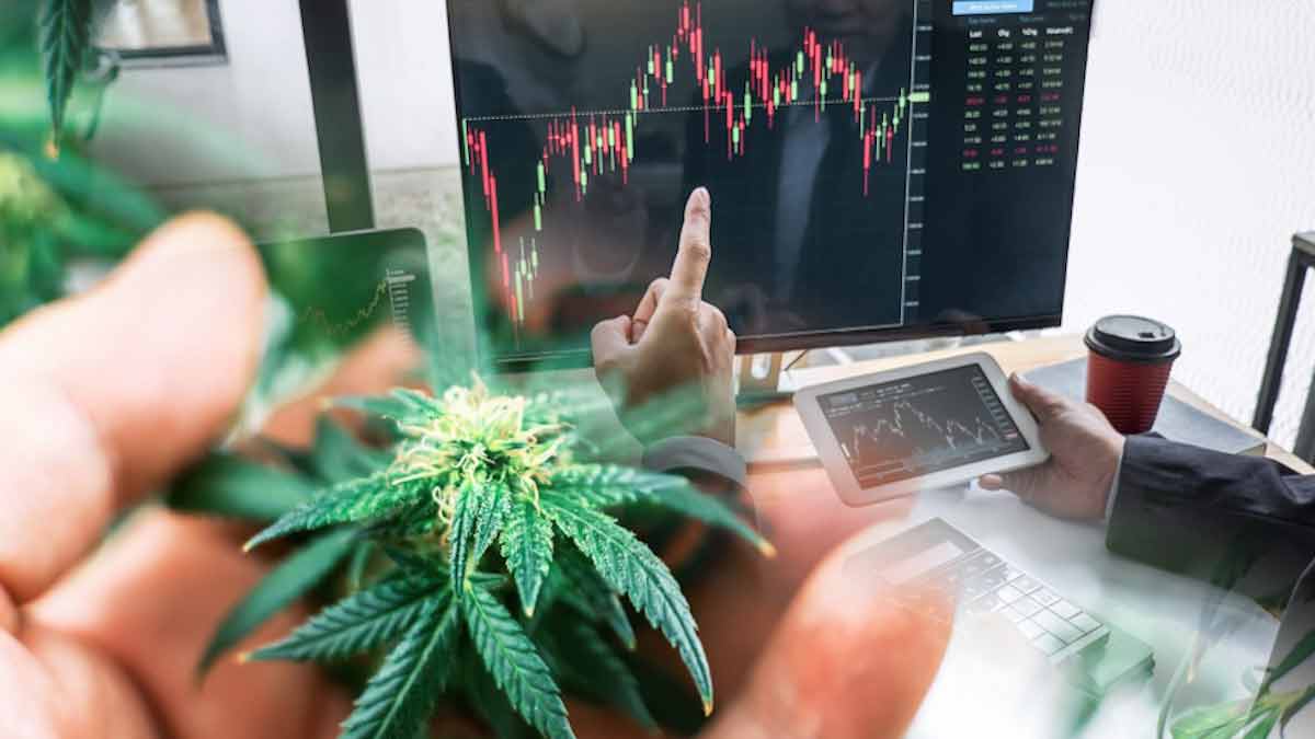 Top Marijuana Stocks To Buy Now? Penny Stocks Under $1 For Your Watchlist