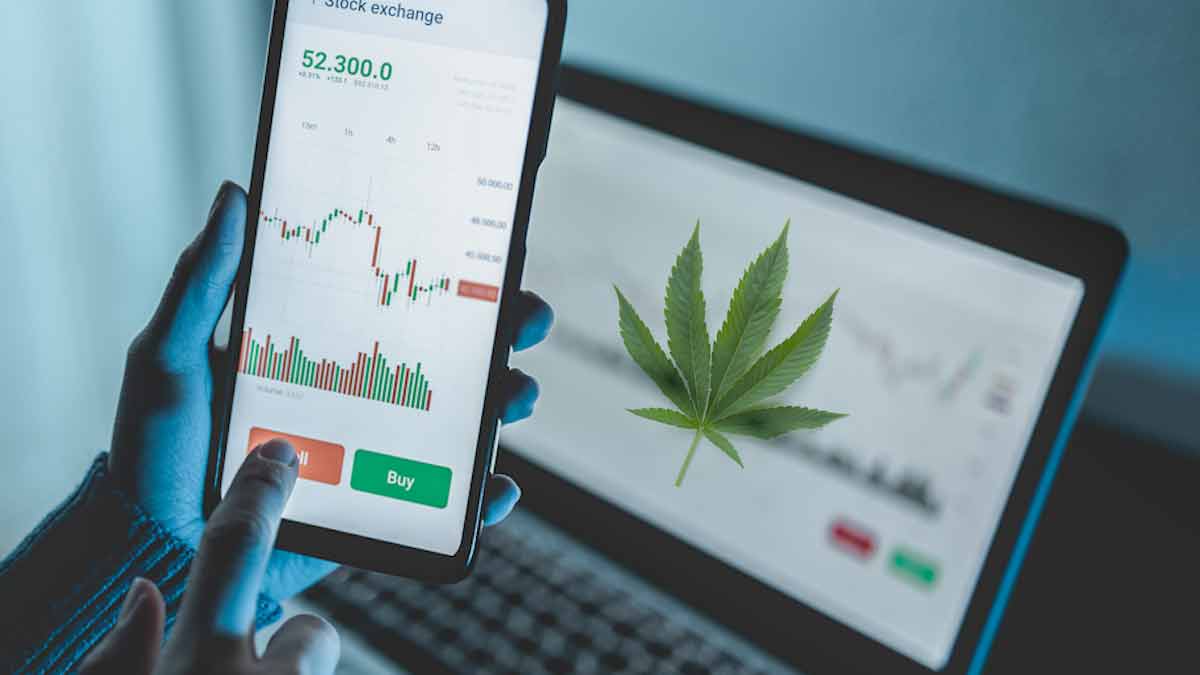 Best Marijuana Stocks To Buy? 3 Penny Stocks To Watch Next Week