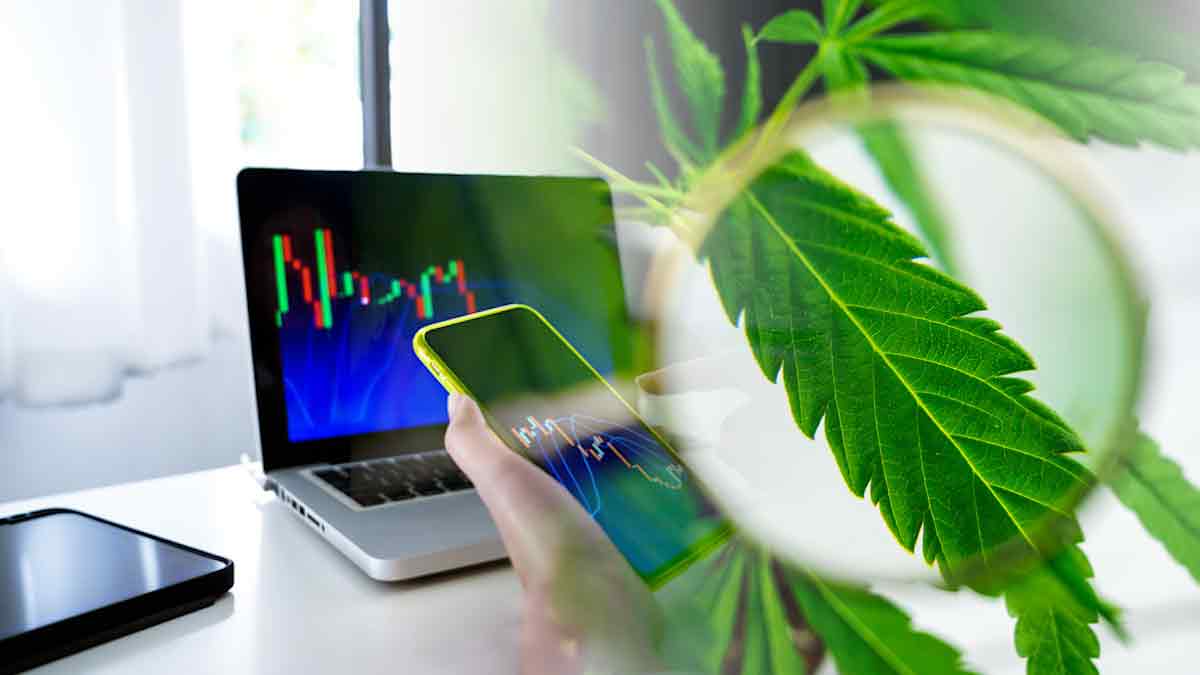 Best Canadian Marijuana Stocks To Watch Under $2