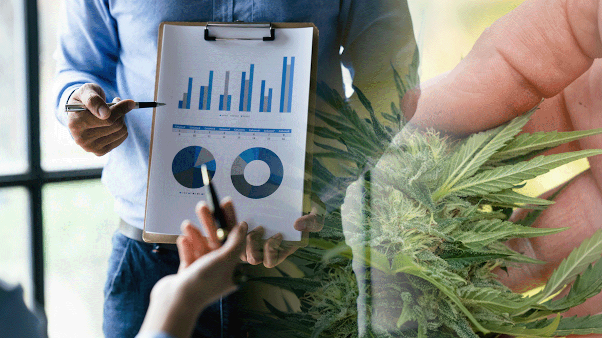 Top Cannabis Stocks To Buy Before April