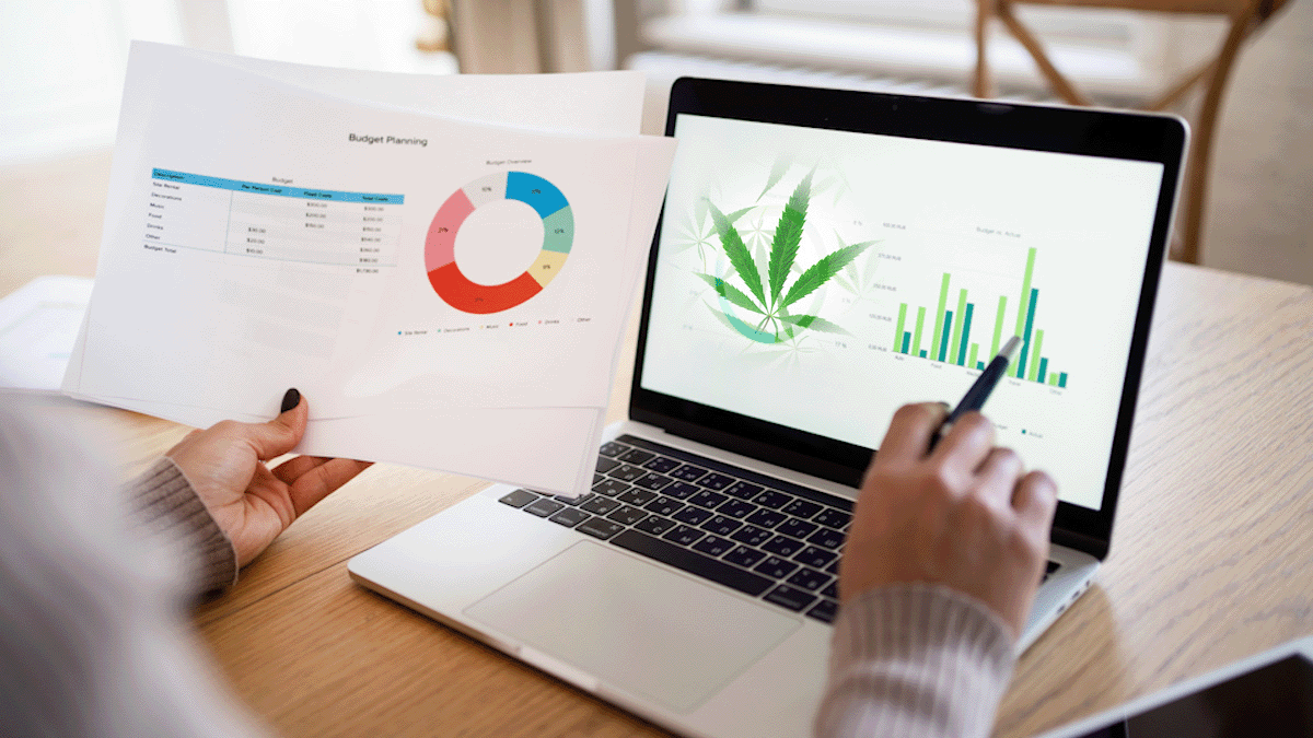 Canadian Cannabis Stocks to Watch in Mid-March 2024