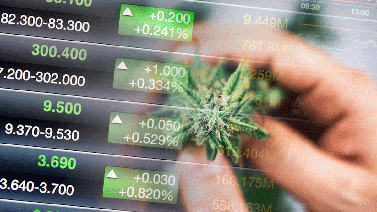 Top Pot Stocks In March To Buy