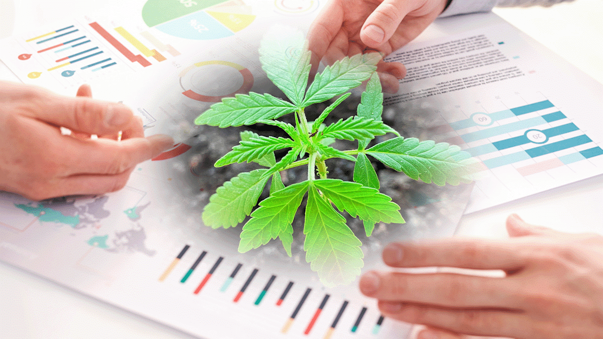 Marijuana Stocks Under $1 For April 2023