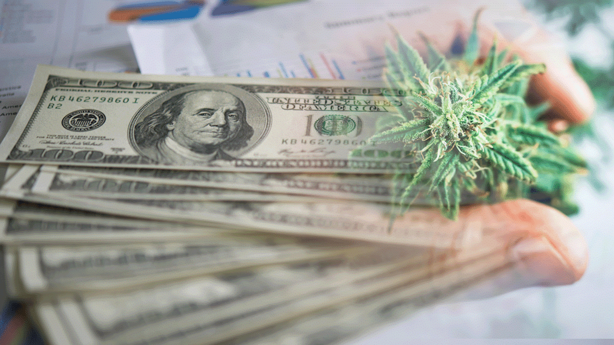 Best Long-Term Investments In Cannabis? 2 REITs To Watch In October