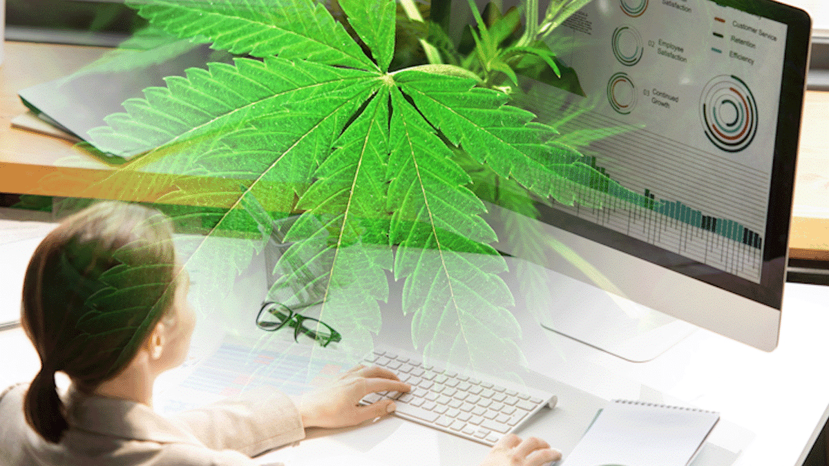 Cannabis Stocks With Momentum To Start April