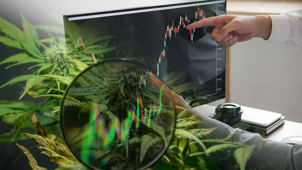 Ancillary Cannabis Stock To Buy In May? 2 For Your List Right Now