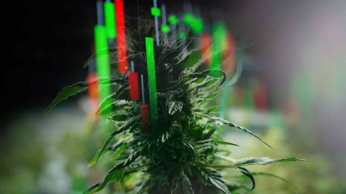 Top Marijuana Stocks With Double Digit Percentage Gains To Start May 2023